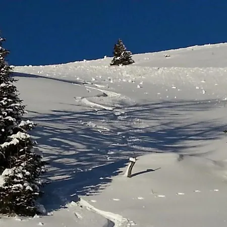 Apartamento Schlossblick Ramingstein
