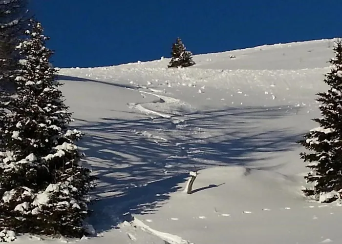 Apartamento Schlossblick Ramingstein